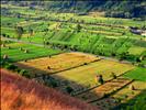 Romania Countryside